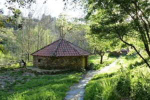 La Escuela del Bosque