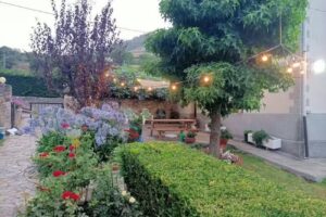 &laquo;La Flor de Toranzo &laquo;&raquo;Vive los Valles Pasiegos&raquo;&raquo;&raquo;