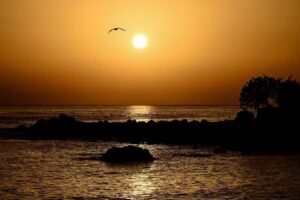 La Gomera Apartment &ndash; Ferienwohnungen und Apartment am Meer