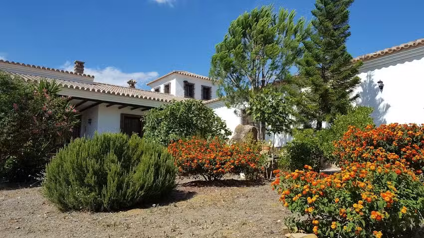 La loma del sabinal