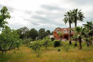 La Matriz Rural Alojamiento