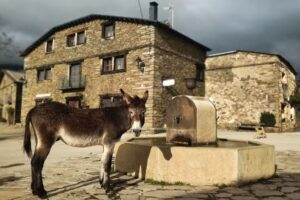 La Melera &ndash; Casa Rural en la Sierra Norte de Guadalajara. Cerca de los Pueblos Negros y el Hayedo.