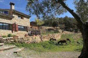 La Pallereta de Conf&oacute;s