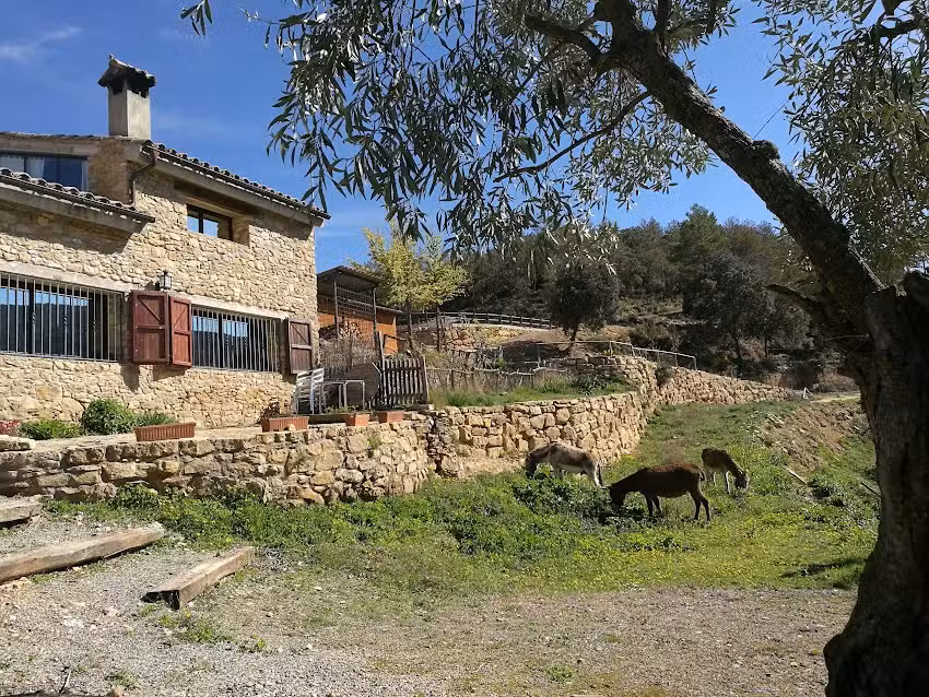 La Pallereta de Conf&oacute;s