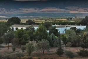 La Rinconada De Las Tablas De Daimiel