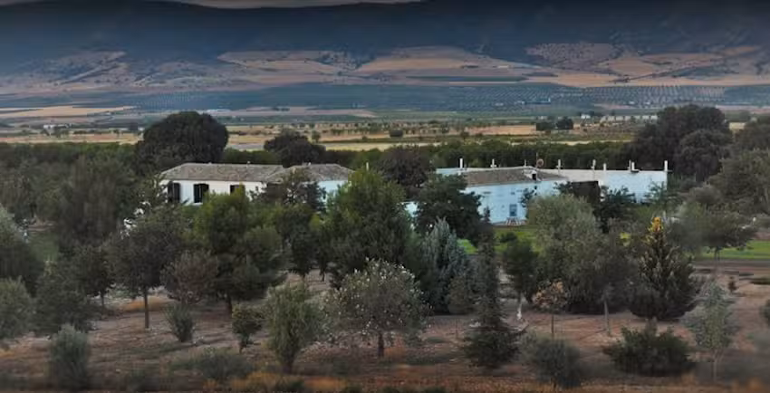 La Rinconada De Las Tablas De Daimiel