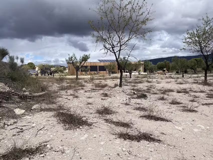 La Torrosella