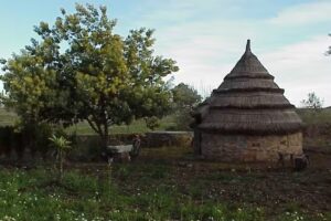 La Vi&ntilde;a Del T&iacute;o Geraldo