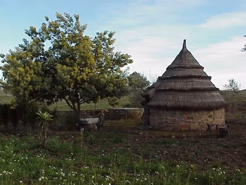 La Vi&ntilde;a Del T&iacute;o Geraldo