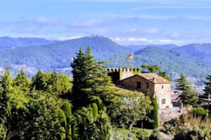 La Vinya de Mas Pujol