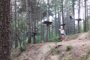 La Vinyota d&rsquo;en peroler