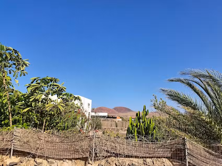 Lajares Volcano Villa