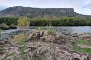 Las Ace&ntilde;as de Hinojosa de Duero