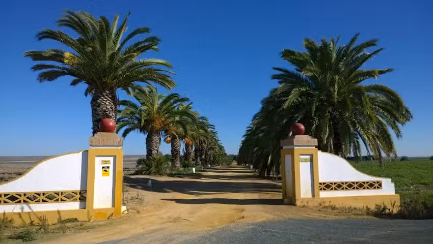 Las Arroyuelas ju