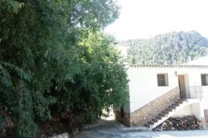 Las Casas La Piedra De T&iacute;scar