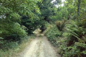 Las Cuatro Estaciones