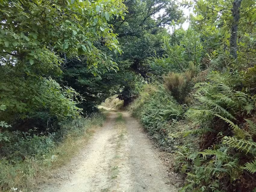 Las Cuatro Estaciones