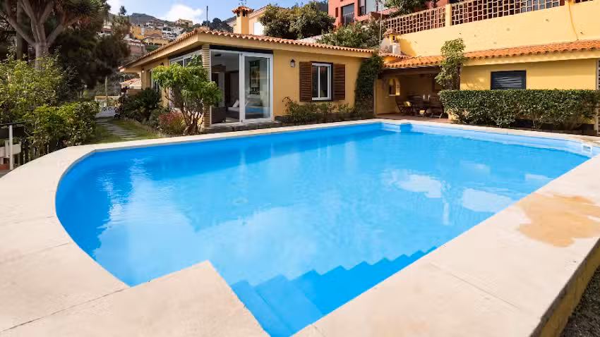 Las Hortensias de Santa Br&iacute;gida