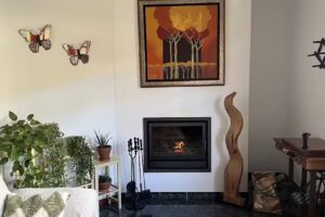 Las Monarcas Vivienda Vacacional rural Teror Gran Canaria