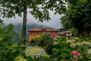 LAS RUBIAS CASA JUSTA