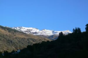 Le Chien Andalous | Andalucia Rental Villas