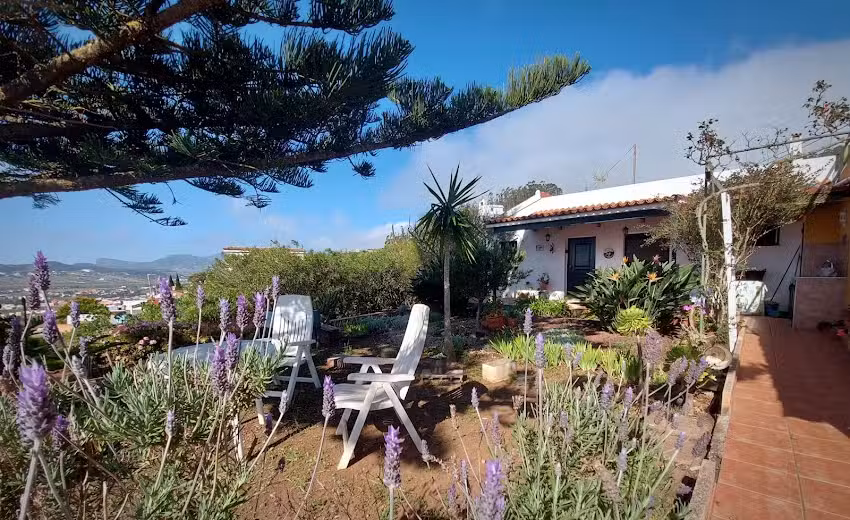 Live La Laguna Casita Vieja