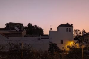 Livemalaga Pedregalejo