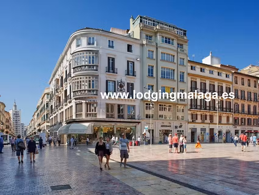 Lodgingmalaga Plaza de la Constitucion
