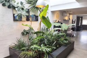 Loft Carrasketa, Alfafara.