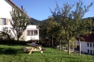 Lopeandia Etxea en Irati