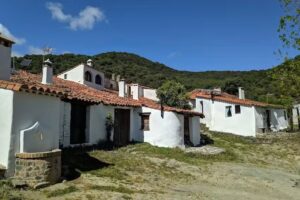 Los Madro&ntilde;eros