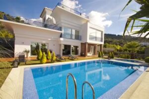 Los Nisperos de Paco