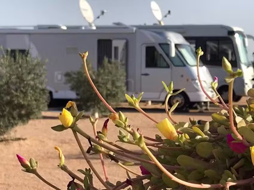 Los Olivos Camper Park