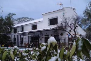 Los Solanos de Vizcantar