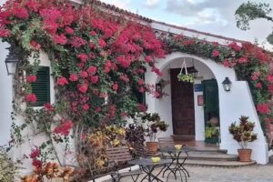 Malpa&iacute;s Trece