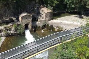 Maria Ray&oacute; Peralta