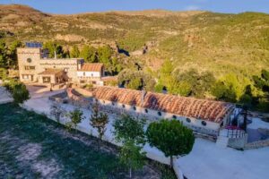 Mas de la Monta&ntilde;a del Cocodrilo