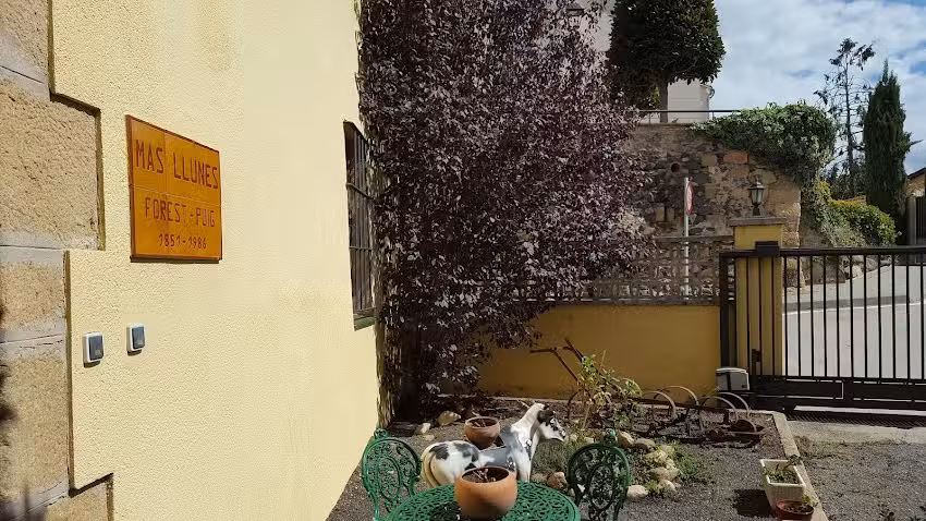 Mas Llun&egrave;s