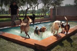 Mascotes Costa Brava