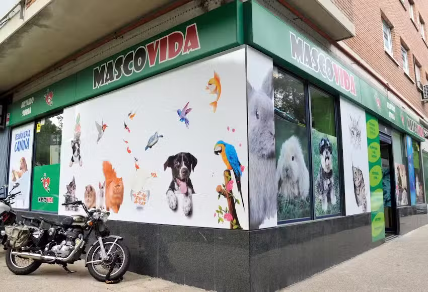 MASCOVIDA
