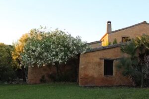 Masia Cal Mingo | Lost Paradise Rentals