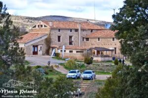 Mas&iacute;a Pelarda