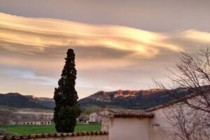 Mas&iacute;a Torre Sancho