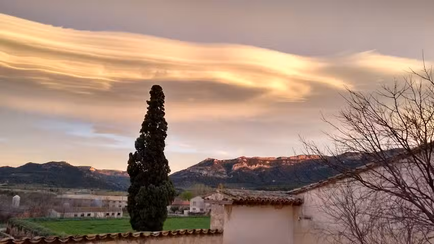 Mas&iacute;a Torre Sancho