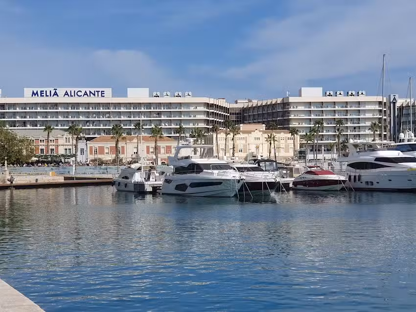 Meli&aacute; Alicante
