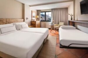 Meli&aacute; Sol y Nieve