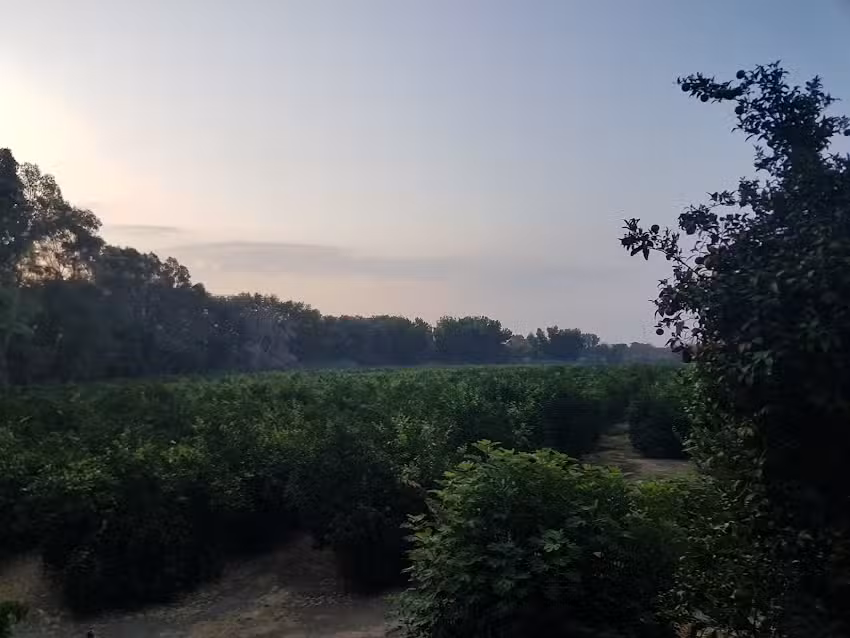 Mesas del Guadalora Calle Ochavillos