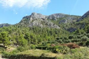 MISSAMAROI RESTAURANT-PIZZERIA