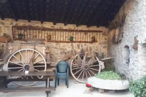 Mol&iacute; Can Coll