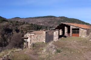 Molina de Llet&oacute;